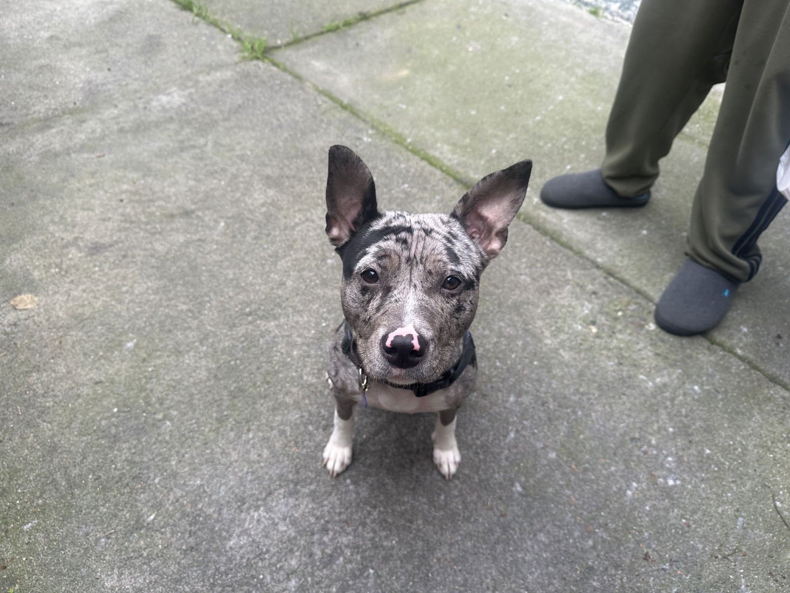 Patisserie - Photo 4