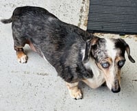 Miss Rachel - Photo 1