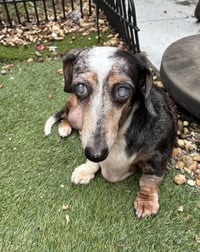 Miss Rachel - Photo 2