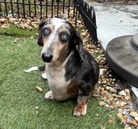 Miss Rachel - Photo 3