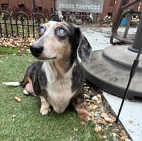 Miss Rachel - Photo 4