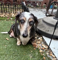 Miss Rachel - Photo 5