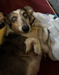 Miss Rachel - Photo 6