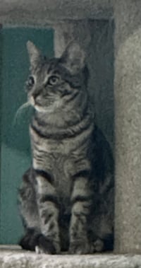 Frances - Photo 5