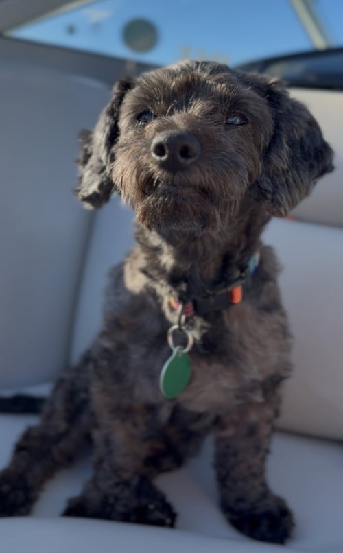 CHARLIE