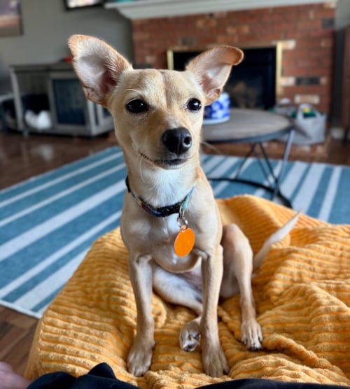 ROSITA AKA ROSIE