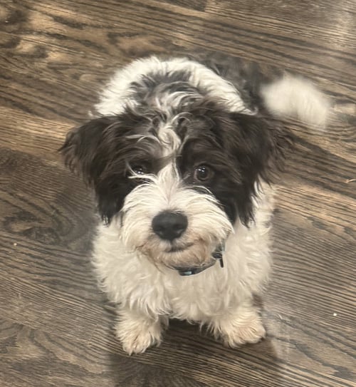 MARLEY
