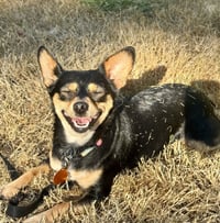 Mimi - Photo 2