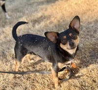 Mimi - Photo 3