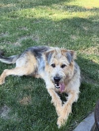 Arthur - Photo 2
