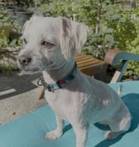 Mindy - Photo 1