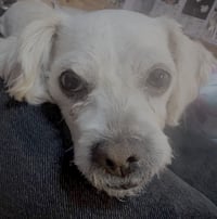 Mindy - Photo 2
