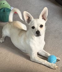 Casper - Photo 3