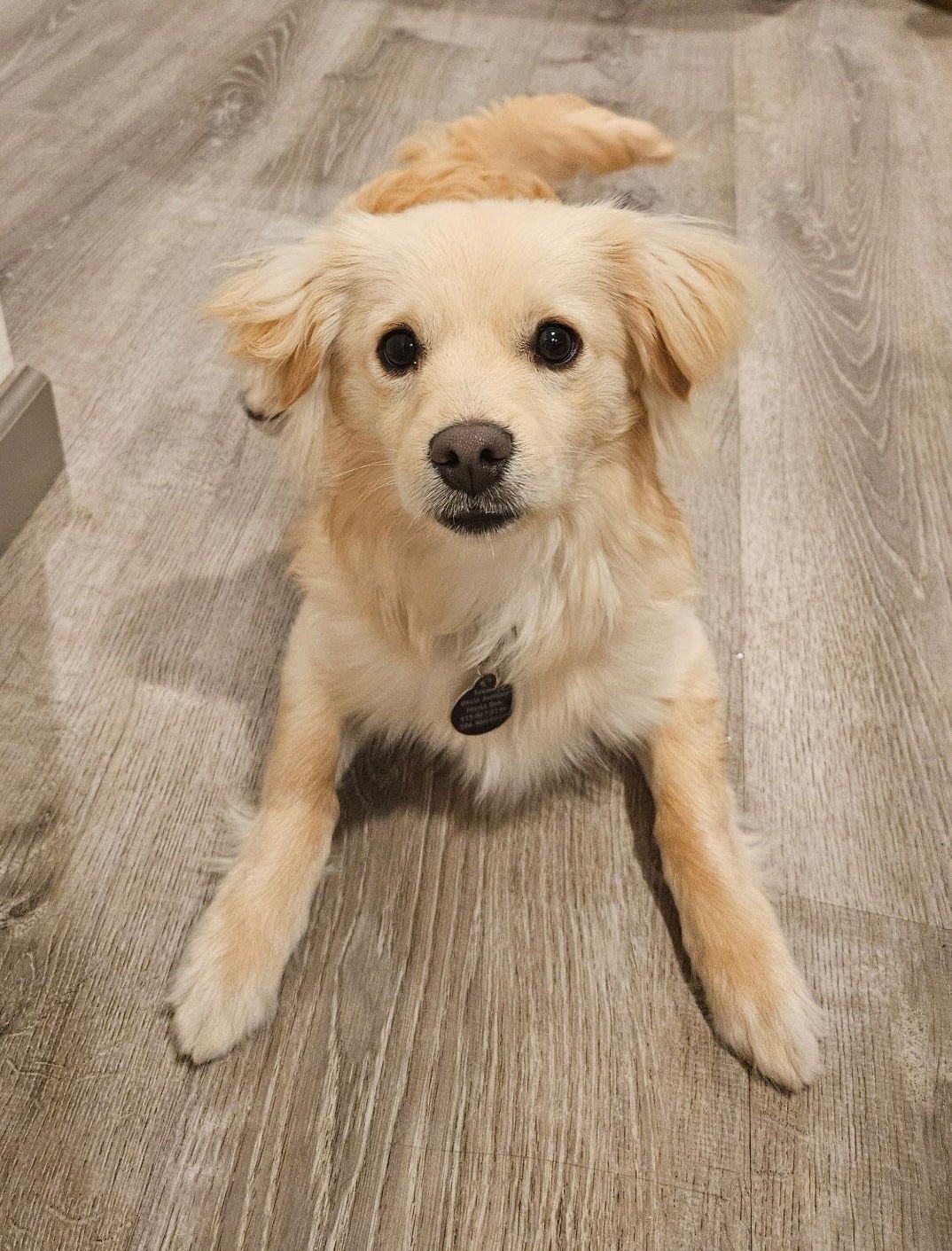 YUTA - Unknown available for adoption