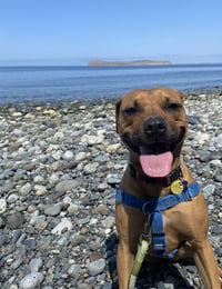 Josie - Photo 6