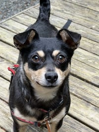 Winnie - Photo 1