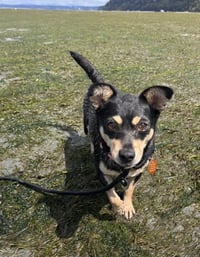 Winnie - Photo 2