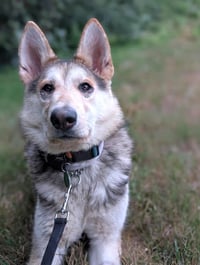 Sandy - Photo 1