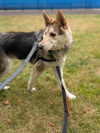 Sandy - Photo 5