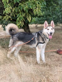 Sandy - Photo 2