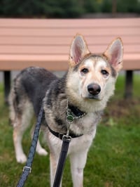 Sandy - Photo 3