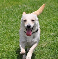 Darla - Photo 3