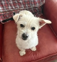 Sally - Photo 2