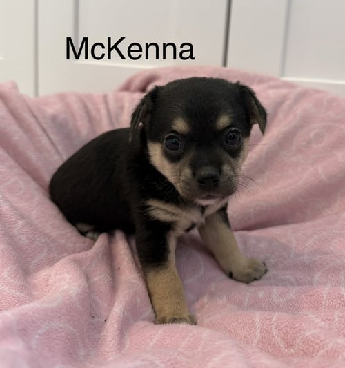 MCKENNA