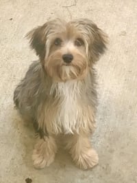 Precious - Photo 1