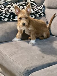 Max - Photo 1