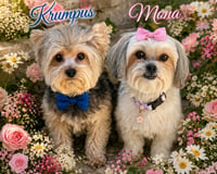 Krumpus & Mona - Photo 2