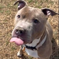 Paco - Photo 7