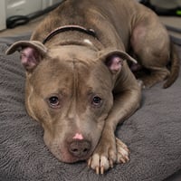 Paco - Photo 1