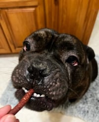 Blaze - Photo 4