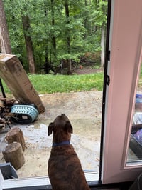 Max - Photo 2