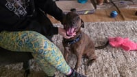 Max - Photo 3