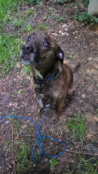 Max - Photo 4