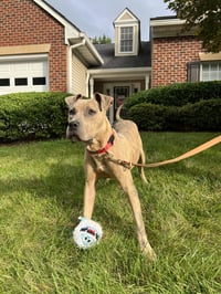 Bruce - Photo 19