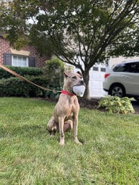 Bruce - Photo 20