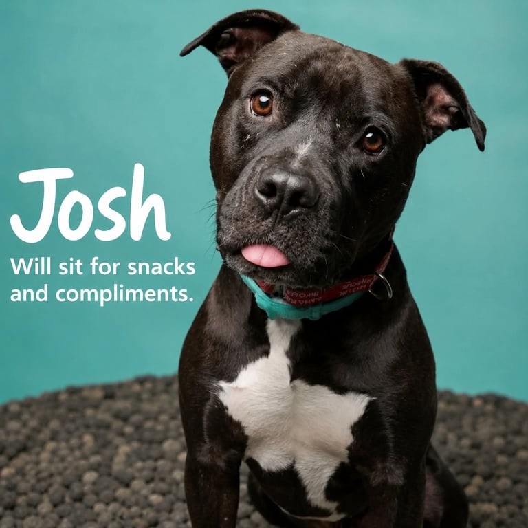 Josh Image