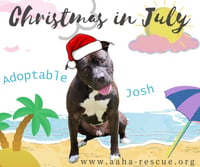 Josh - Photo 9