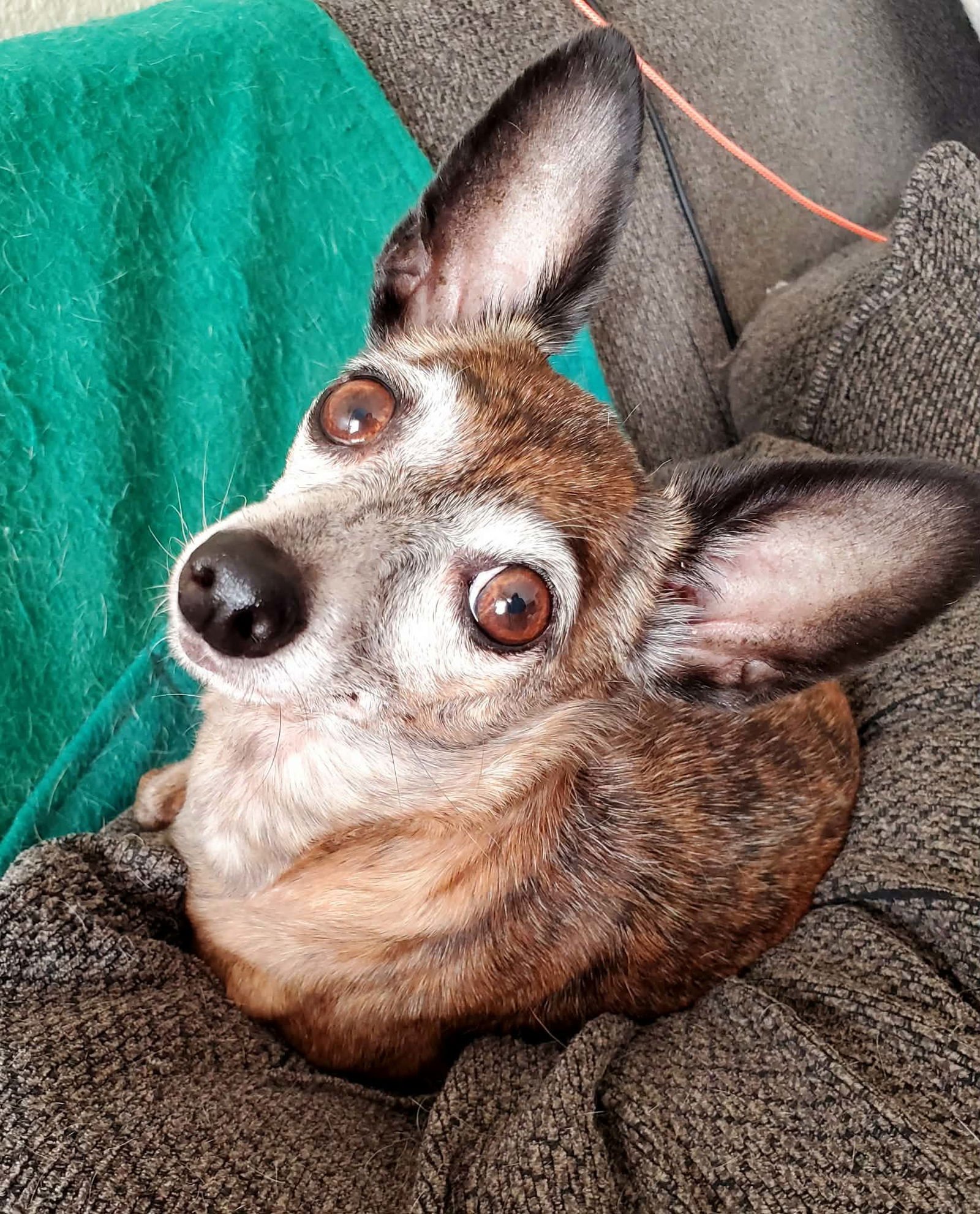 Beatrix and Remy - Photo 3