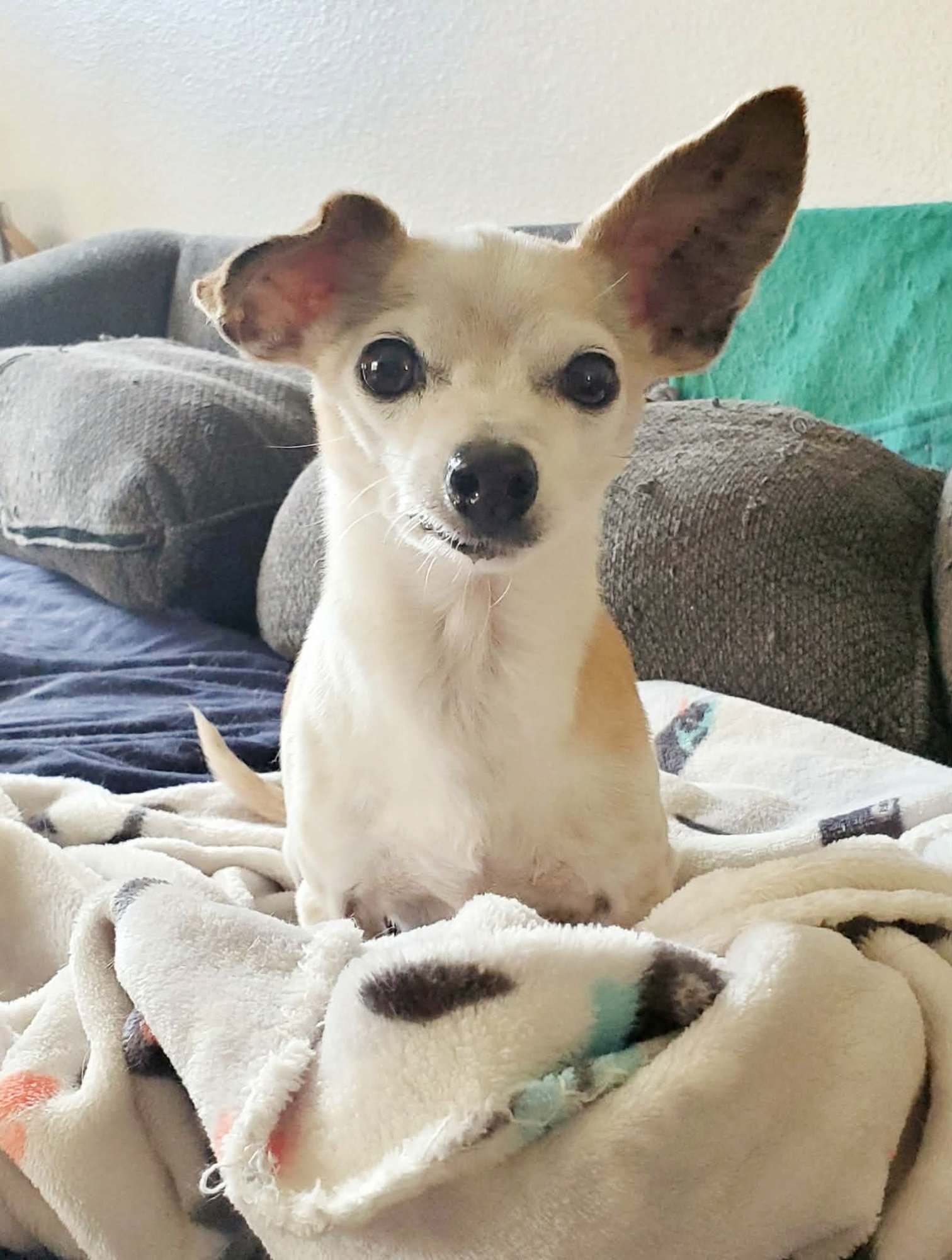 Beatrix and Remy - Photo 4