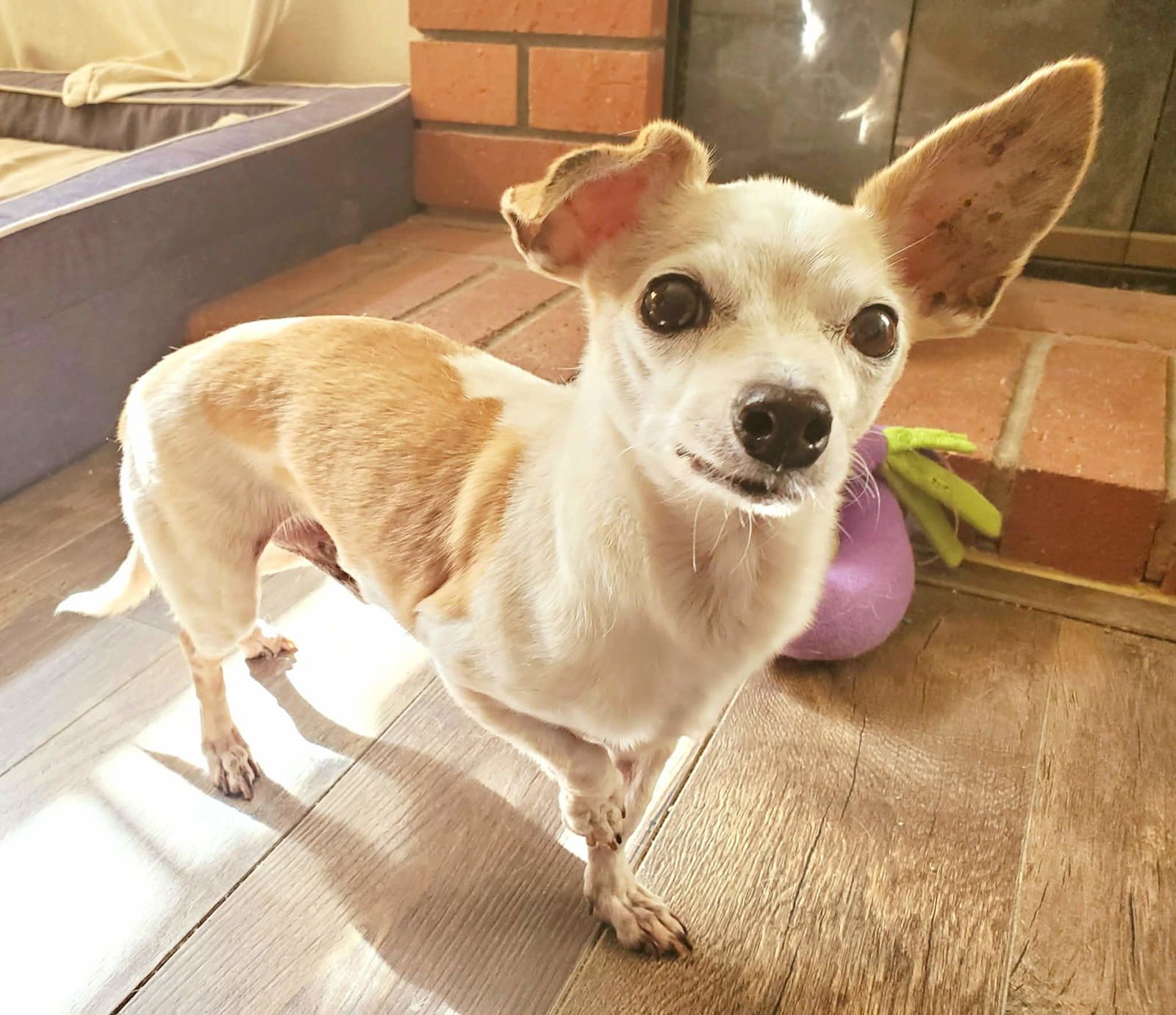 Beatrix and Remy - Photo 6