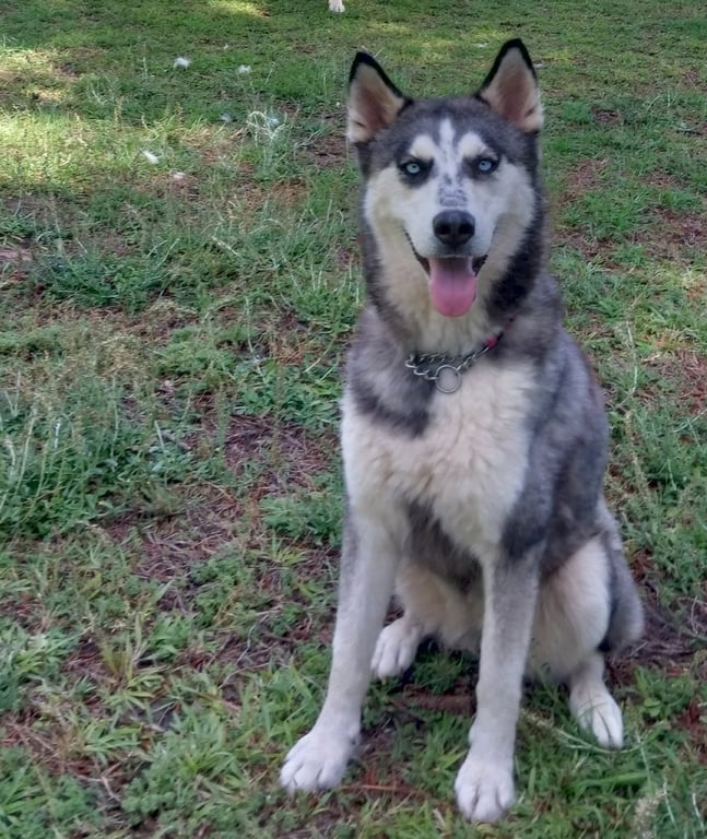 Wilma Image