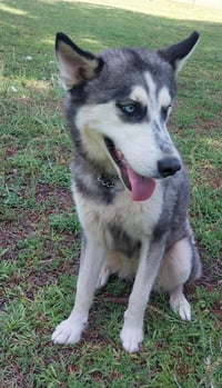Wilma - Photo 3