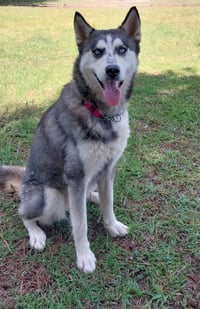 Wilma - Photo 5