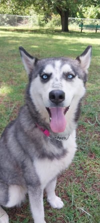 Wilma - Photo 6
