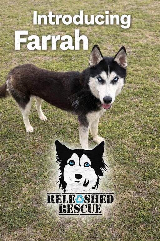Farrah Image