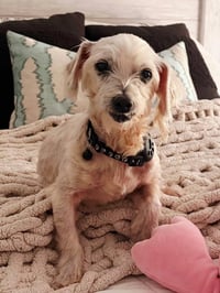 BOOKER - Photo 2